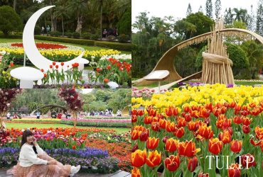 2026士林官邸鬱金香展｜11萬株夢幻綻放！台北秒飛歐洲的春日花海打卡聖地。