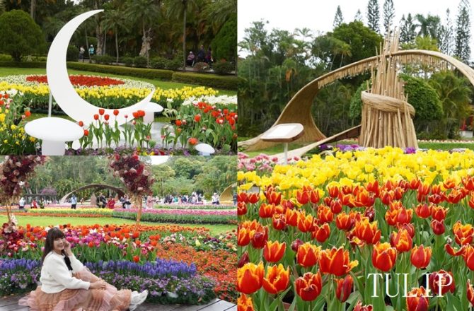 2026士林官邸鬱金香展｜11萬株夢幻綻放！台北秒飛歐洲的春日花海打卡聖地。