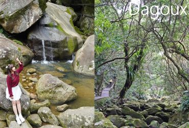 台北內湖景點 │大溝溪步道 ，隱身城市裡的精靈系步道，多重地質景觀宛若阿凡達秘境。