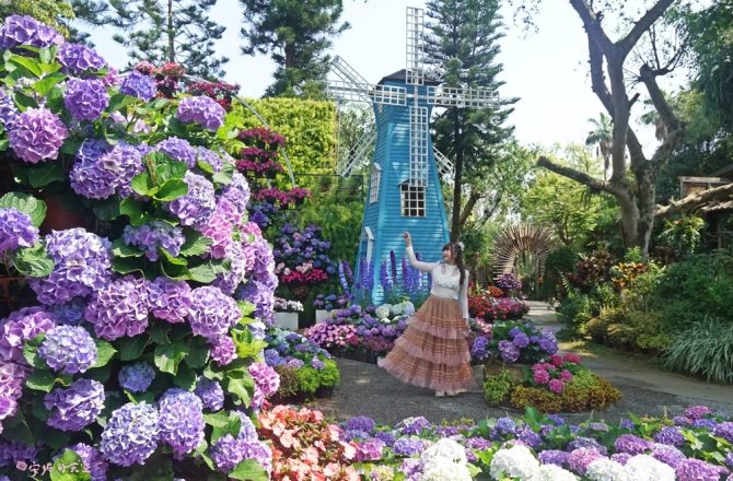 【2026花露農場】 2萬朵繡球花美翻園區， 花朵冰淇淋、巨大荷蘭風車、全台唯一繡球花小火車，宛如走進童話繪本世界。
