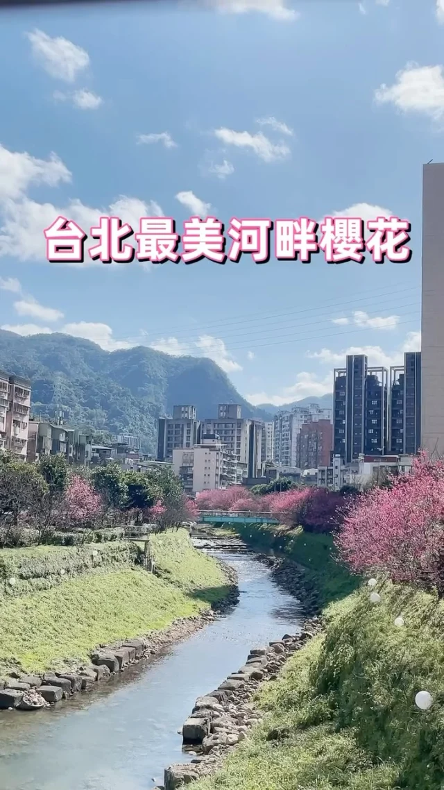 位在汐止的康誥坑溪文化橋沿岸台灣山櫻陸續綻放，沿著河岸的一大排桃紅花海十足醉人，搭配溪澗的潺潺溪水，更是有種清新浪漫。
最特別的是溪澗間與邊坡還妝點了可愛的球形燈飾，白天看富有童話氣息，而到了夜晚點起燈，繽紛的彩色球體頓時璀璨整個河岸，加上路邊設計的七彩夜燈，夜裡的櫻花呈現彩色迷離的夢幻情調，讓我驚呼:晚上賞櫻更美啊。

雖然說是秘境，但當地人說這裡的櫻花季已經行之有年了，依偎著河岸的櫻花有說不出的美麗，這裡搭火車就會到，市區裡的河畔櫻花與你相約這一季的浪漫。

📍康誥坑溪
交通：汐科火車站 步行約1分鐘
賞花日期：2025/1/29
夜間點燈：17:30

#櫻花 
#台北櫻花 
#汐止景點 
#汐止櫻花 
#汐科火車站 
#康誥坑溪