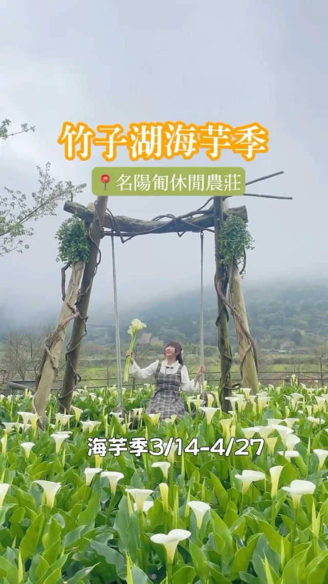 悄悄的又到了海芋的季節。
竹子湖位於陽明山國家公園海拔約650-670公尺的高處，北擁著小觀音山、東依偎著七星山、西緊臨大屯山，環山的景致，蓊鬱的壯闊山景，不時的雲霧灑落，山雲擁抱的竹子湖，像是上帝賜予的一片山林綠洲，靜靜的，徜徉在陽明山上，花季，浪漫了這一片境地，也美麗了山景。

每年三月來竹子湖朝聖海芋是我的人生大事，將一把海芋輕攏在懷裡，置身在這樣夢幻的山谷裡，光是眺望著山景欣賞滿山的海芋，有說不出的愜意感。

今年造訪「名陽匍休閒農莊」，今年造景是放大版樹蛙「樹蛙夢屋」，原來海芋田裡藏有許多樹蛙，園區為了讓更多人了解樹蛙，而有這樣可愛的造景，木屋每一側都可以拍照，浪漫破表。

📍名陽匍休閒農莊 @minyangpu 
門票：200元，可折抵150元

🚌竹子湖交通方式

劍潭站:109、111、紅 5、260（含區間及花鐘線）或 111-陽明山公車總站或第二停車場轉乘 131 或小 8、小 9、128、129
台北火車站:260（含區間及花鐘線）陽明山總站轉乘 131
陽明山第二停車場:搭乘128、129、小8、小9、131。
台北榮民總醫院:搭小8、128公車直達。
北投站 129、小 9 前往竹子湖「風架口」
石牌站 128、小 8 前往竹子湖「風架口」

#海芋 
#名陽匍 
#竹子湖海芋 
#竹子湖
#2025海芋季