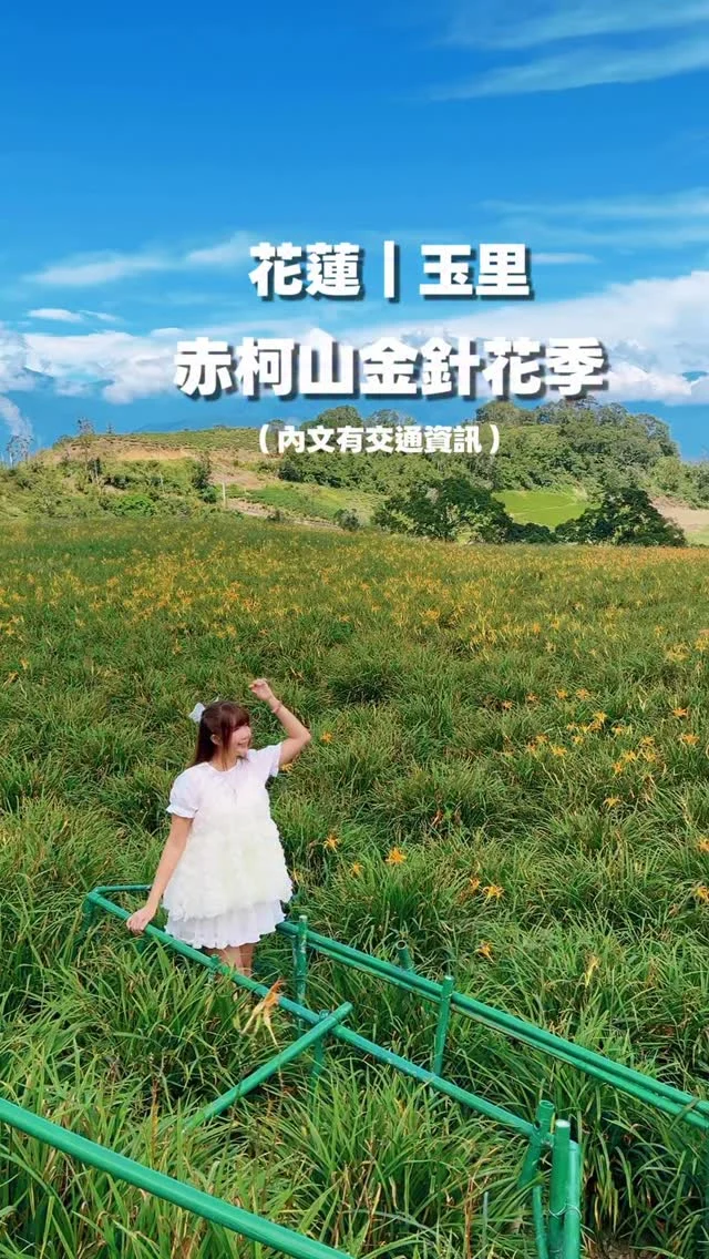 踏上海拔 900 公尺的赤柯山，再次與金針花相遇。
這裡是花東三大金針花海之一，層層起伏的山坡披上金色衣裳，在日光映照下，閃耀得讓人屏息。

此行最令我難忘的，是「汪家古厝」。這座承載一甲子歲月的閩式木造老屋，依舊延續古法曬金針的傳統。好天氣時，屋頂上、四合院庭院裡，都鋪滿了金針花，在陽光下散發著迷人的暖意，那是屬於土地與時光交織的風景。

前往花蓮賞金針花，包車是最輕鬆的方式。這次安妮搭乘「普悠瑪」抵達玉里，再由 @traveltaiwan168 專車接送上山，乘坐舒適的賓士九人座，不僅寬敞豪華，也很適合家人或朋友一同出遊。

2025年花蓮赤柯山金針花季於8月9日（星期六）至10月12日（星期日） 展開，想前往的朋友可以參考安妮的交通方式。

📍赤柯山 
🚃台鐵「玉里站」
🚗包車 @traveltaiwan168 
（合法旅行社包車）

#花蓮 
#赤柯山
#金針花