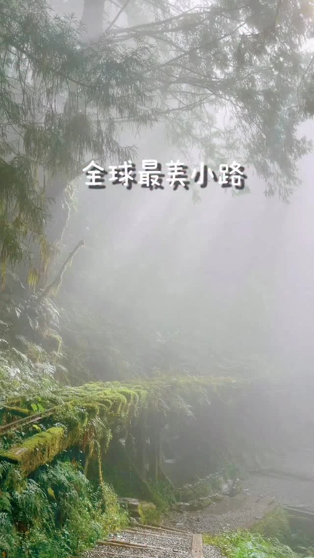 別懷疑，全球最美小路，這裡在台灣。
不到1000公尺，每一段都美到屏息。

#宜蘭 
#太平山