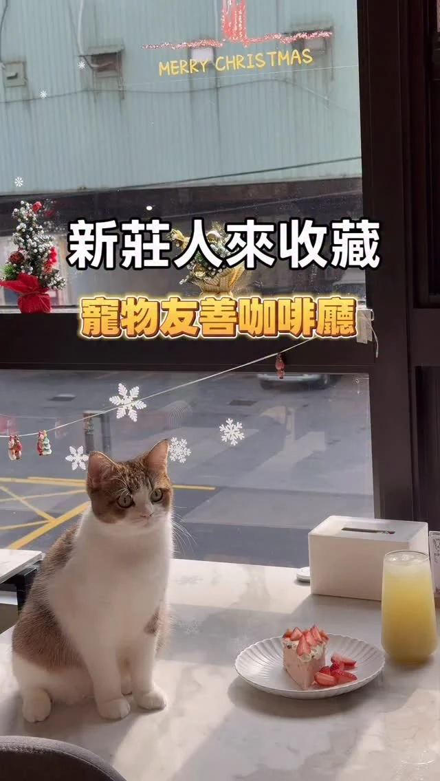 新莊幸福站周邊慢慢有越來越多質感小店，[Paws Cafe]坐落於幸福東路上落羽松大道上，是一間以寵物為主的餐廳，內有好多貓咪以及店狗駐守，喜歡貓咪的朋友絕對會喜歡。

[Paws Cafe]不同於新莊一般以貓咪為主的咖啡廳，店內裝潢相當韓系，用了溫暖繽紛色調妝點，即使不以寵物為主打，也是一間網美會喜歡來的店，這裡不僅僅提供咖啡、飲品，另外也有早午餐、班尼迪克蛋、漢堡排，還有專屬毛小孩的餐點，不管是帶著毛小孩來，或是自己一人前來都很適合，在這裡可以享受二樓的落羽松窗景，以及可愛的萌貓作陪。

這裡因為空間不大，座位不多，想要來的朋友建議先訂位。

我超喜歡帶我家貓咪一起來，還可以跟店內的貓咪一起玩，裡頭的貓跳台是我家貓咪最愛。

快約你喜歡貓咪的朋友一起來。

📍PAWS CAFE  @pawscafe.tw 
地址:新北市新莊區幸福東路132號
營業時間:11:30-20:30（假日10:30營業）
電話:02 6604 0116

#新莊
#新莊幸福站
#寵物友善