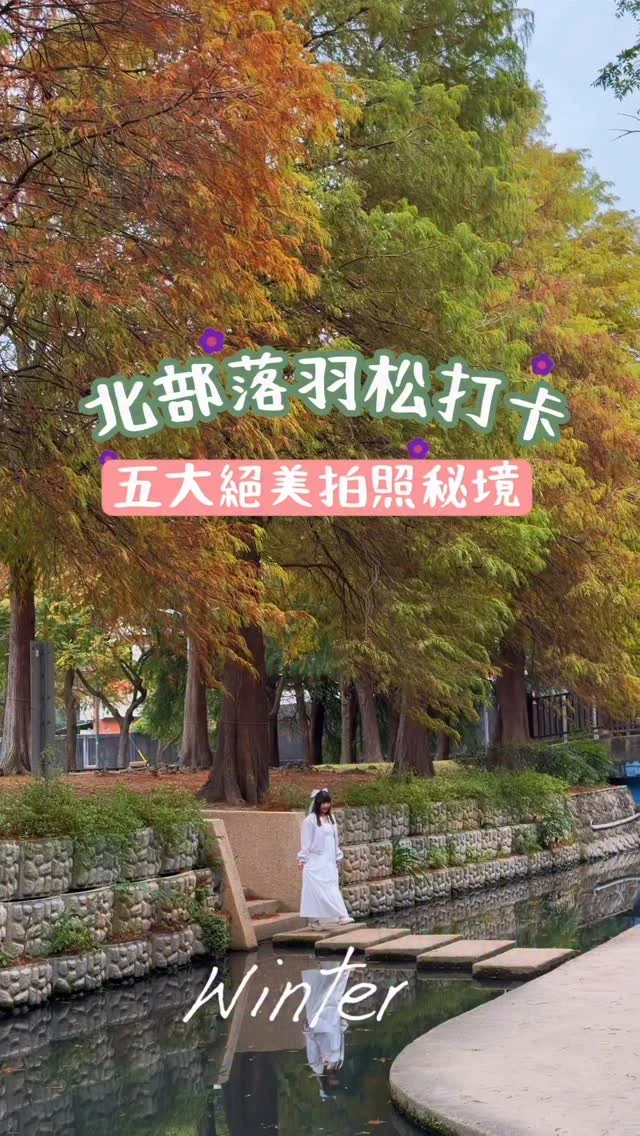 北部五個落羽松景點，每一個地方都好出片。

📍陽明山永公路500號
📍原住民文化主題公園
📍林口長庚養生村
📍士林官邸
📍頭前運動公園

留言「落羽松」，我傳五個落羽松景點的交通資訊給您。

#落羽松