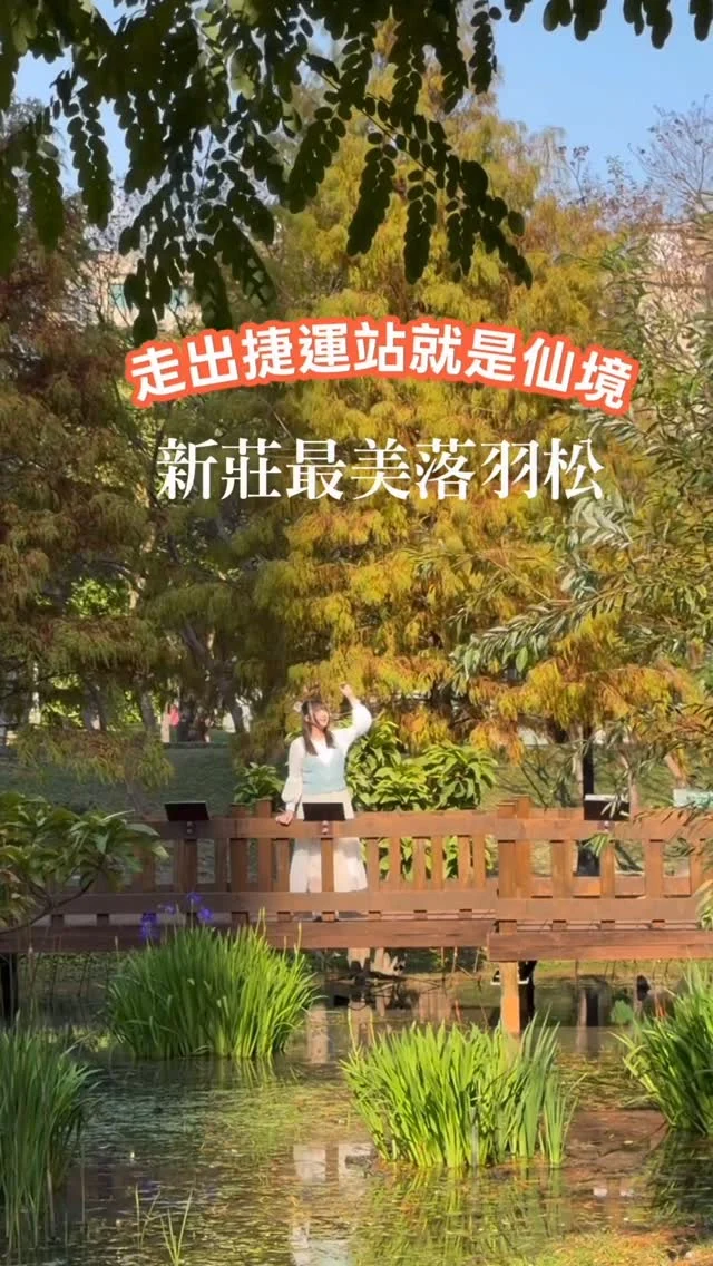 走出捷運站就是仙境
新莊最美落羽松景點，最美湖畔濕地木棧道。

新莊賞落羽松的秘密景點，這裡距離環狀線幸福站僅五分鐘路程，走出捷運站就能欣賞到這樣如畫般的美景，公園內還有相當多的遊樂設施，是新莊人最喜歡的公園以及野餐聖地，也是寵物友善的公園，在落羽松變色之際，找個好天氣，一起來新莊散散步吧。

📍頭前運動公園
🚃幸福站