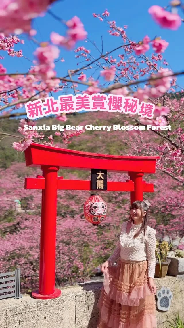 新北最大櫻花林已經滿開
浪漫日本風造景超級好拍

今年園區還有貼心設置接駁車，安妮都幫大家整理好了，免開車就能上山賞花喔。

賞花日期:2026/01/29

✅留言「櫻花」我傳交通接駁資訊給你。

📍三峽大熊櫻花林
地址:新北市三峽區竹崙路228號
電話:02 2668 1386
營業時間:7:00-19:00(有夜櫻)
門票:200元/平日，250元/假日，120元/竹崙里民票 ，120公分以下兒童門票20元，門票不抵消費。