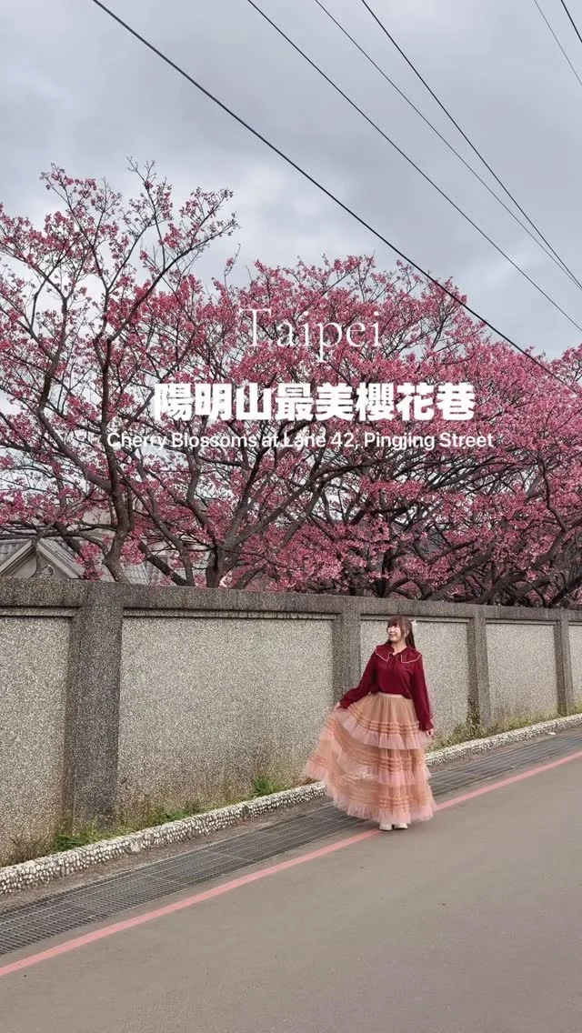 台北最美櫻花巷
搭乘公車就能輕鬆賞櫻

陽明山平菁街是台北最美櫻花巷，像是被粉彩渲染的粉嫩色調，在巷弄間以爆棚式的方式綻放，柔美了整條巷子，即使遊客多也不減賞櫻的興致。

目前花都開好了，一起搭乘公車來賞櫻吧！

📍平菁街42巷
🚃捷運：劍潭站，搭乘303公車，「倫仔尾」站。
捷運：劍潭站，轉搭公車小19，「平等里」站。

#陽明山
#櫻花
#平菁街42巷