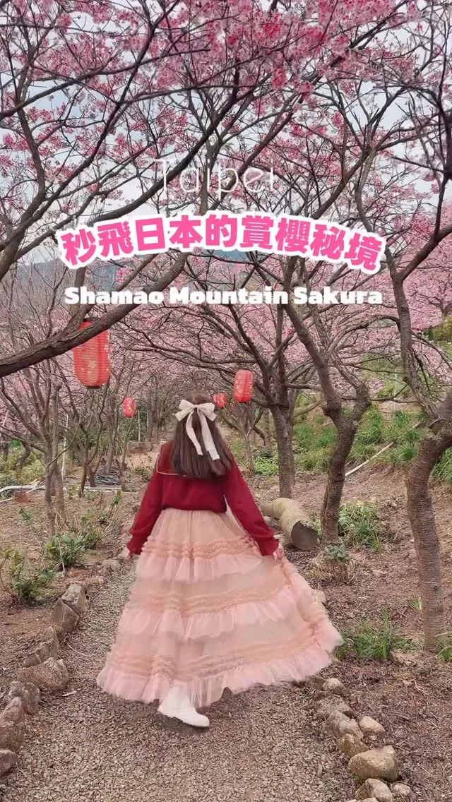 陽明山賞櫻秘境🌸
燈籠櫻花隧道 × 山間鳥居的日本風情

安妮在陽明山發現了一處宛如日本山中花徑的賞櫻秘境。
各式櫻花與山茶花沿著山坡錯落盛開，紅色日式燈籠靜靜點綴其間，還有一座超醒目的大紅鳥居，彷彿誤闖了一段安靜又浪漫的日本春天。

🌸 賞花日期｜2026/02/05

📍 地點｜大埔農場紗帽山 
地址：臺北市北投區湖底路 4-25 號對面
🕘 營業時間｜週一～週日 09:00–17:00
🎫 門票｜
・成人票 200 元
・7–12 歲兒童票 100 元（7 歲以下免費）
・80 歲以上敬老票 100 元

🚍 交通方式
・搭乘小25、小36 公車 →「梅湖站」下車，步行約 15 分鐘
・搭乘 260 公車 →「陽明山總站」下車，步行至橫嶺古道後再走約 20 分鐘
・搭乘 230 公車 →「紗帽橋站」下車，步行約 25 分鐘

🚗 開車
Google Map 搜尋：大埔農場紗帽山
農場內無停車場，可於道路兩側白線停車。

#陽明山
#櫻花
#大埔農場紗帽山