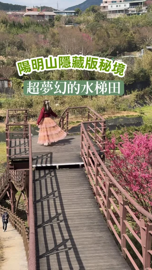 陽明山隱藏版秘境
滿滿波斯菊與櫻花/宛如走進粉彩畫作裡

沒想到陽明山竟然藏著這樣一座絕美梯田。蜿蜒的浪棧道宛如稻浪的波紋，以優雅的弧線鋪展在山坡之間。
這天來到平菁街賞櫻，順遊來到這座梯田，這裡真的好美喔，層疊梯田種植繽紛的波斯菊，這裡有種與世隔絕的清幽，在這裡散步賞花太浪漫了。

📍鵝尾山水梯田
地址:台北市士林區平菁街109-2號
交通:捷運:士林站/劍潭站，轉搭公車小19，到福德祠下車，步行約3分鐘抵達。

#陽明山
#鵝尾山