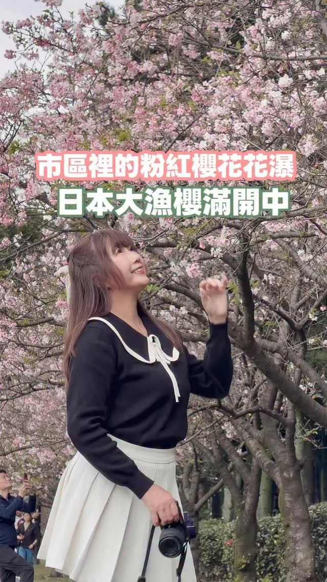 Instagram 貼文 ID: 18072620015550405