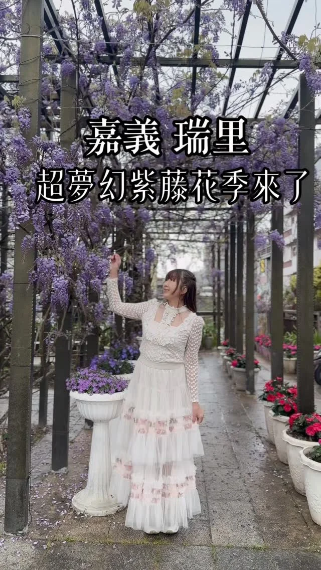 嘉義瑞里紫藤花季
紫色浪漫兩天一夜

位於嘉義梅山瑞里村的紫藤花，讓整座小鎮彷彿被渲染成一片浪漫的紫色世界。漫步其間，處處可見夢幻般垂落的紫藤花串，除了紫藤花之外，還能欣賞到優雅的錫葉藤、熱情綻放的炮仗花，以及深邃靜謐的竹林景致。

來到這裡，最適合用最緩慢的步調旅行。瑞里擁有茶園與山林交織的自然風光，也孕育出許多香氣迷人的好茶；鎮上的民宿宛如小型城堡般佇立山間，別具風情。建議安排兩天一夜的行程，讓腳步停留在這座山城之中，在賞花之餘也品味一壺好茶，將三月專屬的紫色浪漫細細收藏，成為春日裡最美好的記憶。

本文也整理了7 個瑞里賞紫藤花的旅遊推薦提案，提供大家規劃走訪瑞里的賞花旅程參考。

📍一品茶業民宿 
📍高帝園茶業民宿 
📍王鼎茶園民宿
📍瑞里茶壺民宿
📍瑞里紫藤公園
📍瑞里綠色隧道

與嘉義縣文化觀光局合作