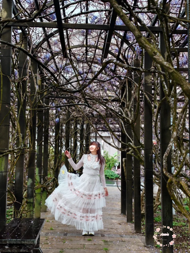 嘉義瑞里紫藤花季
紫色浪漫兩天一夜

位於嘉義梅山瑞里村的紫藤花，讓整座小鎮彷彿被渲染成一片浪漫的紫色世界。漫步其間，處處可見夢幻般垂落的紫藤花串，除了紫藤花之外，還能欣賞到優雅的錫葉藤、熱情綻放的炮仗花，以及深邃靜謐的竹林景致。

來到這裡，最適合用最緩慢的步調旅行。瑞里擁有茶園與山林交織的自然風光，也孕育出許多香氣迷人的好茶；鎮上的民宿宛如小型城堡般佇立山間，別具風情。建議安排兩天一夜的行程，讓腳步停留在這座山城之中，在賞花之餘也品味一壺好茶，將三月專屬的紫色浪漫細細收藏，成為春日裡最美好的記憶。

本文也整理了7 個瑞里賞紫藤花的旅遊推薦提案，提供大家規劃走訪瑞里的賞花旅程參考。

謝謝 @sunnyinlife728 人物拍攝
與嘉義縣文化觀光局合作