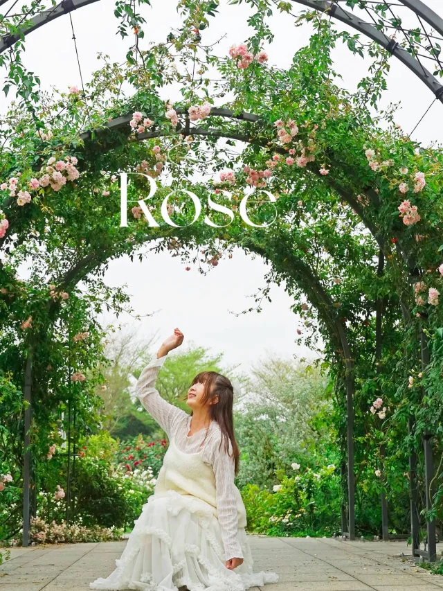 台北最美玫瑰園🥀
我以為走進凡爾賽花園

「這裡真的太美了。」

終於在花季的尾聲，來造訪台北最美最大的玫瑰園，雖然下午時分，沒有陽光，還下了小雨，卻絲毫不減我們賞花的興致，上千種的玫瑰品種，讓喜歡玫瑰的我，在園區裡拍個不停，今年花況真的很好，好到連時間都變得緩慢，只想沉浸在這片花海裡，按下無數次快門。

原本以為花期尾聲，花況不太好，沒想到仔細漫尋，還是捕捉到不少好看的角度。

有些美值得用心體會。

跟好友相約，明年還要再來。

花展日期：即日起～4/6

📍台北玫瑰園
🚃圓山站，步行約15分鐘
免費入園

#台北玫瑰園